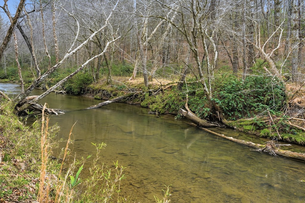 429131 Young Harris Residential