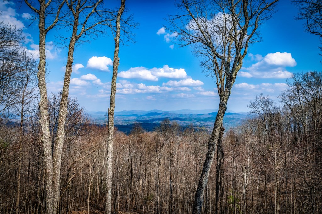 429140 Mineral Bluff Residential