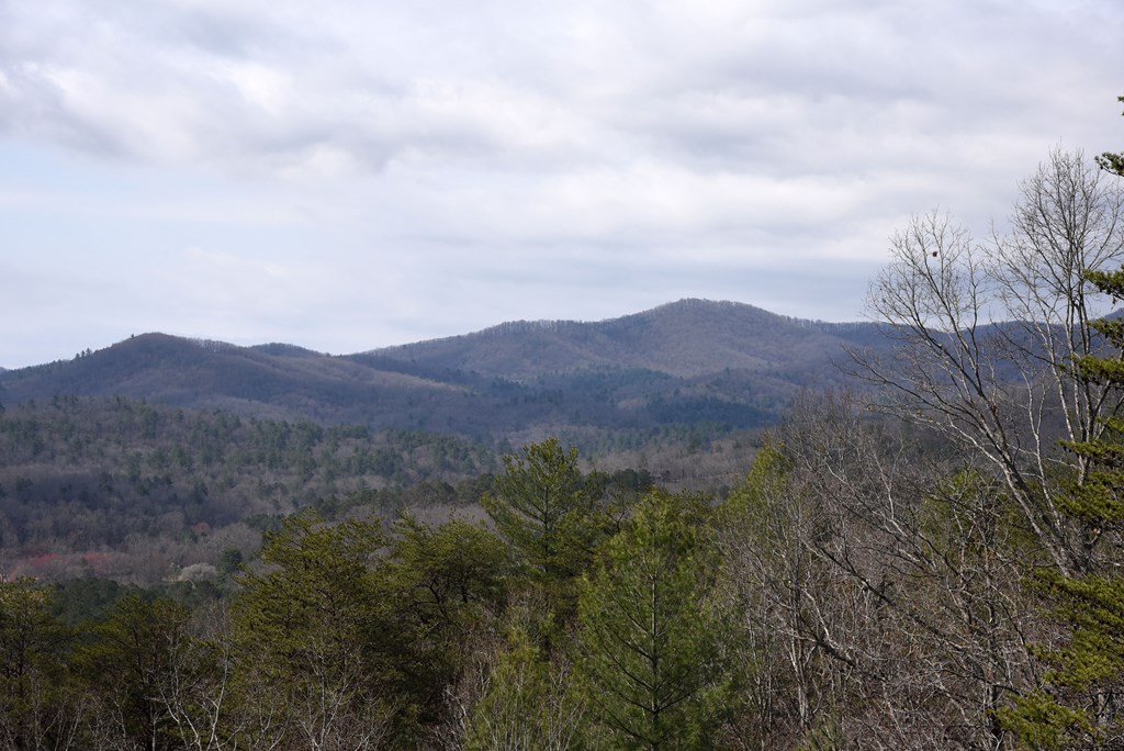 429145 Blue Ridge Residential