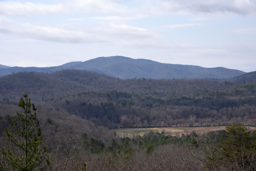 429145 Blue Ridge Residential