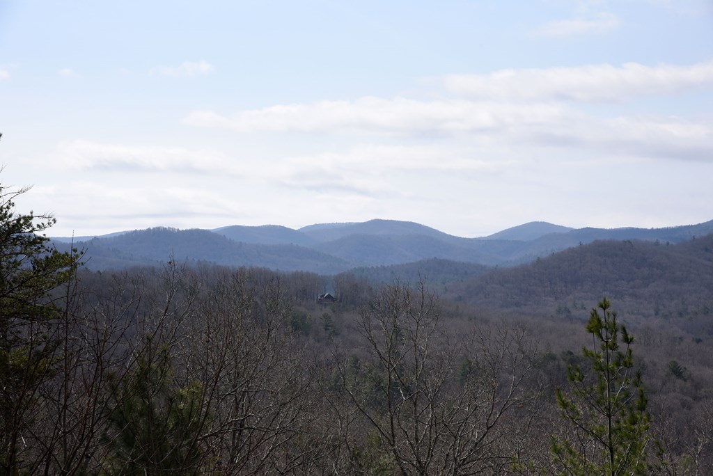 429145 Blue Ridge Residential