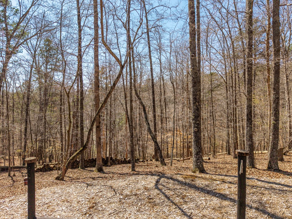 429156 Ellijay Residential