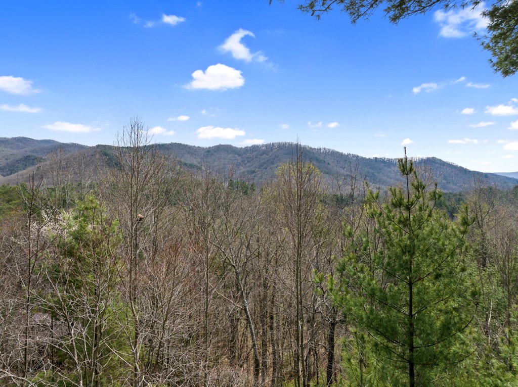 429157 Cherry Log Residential