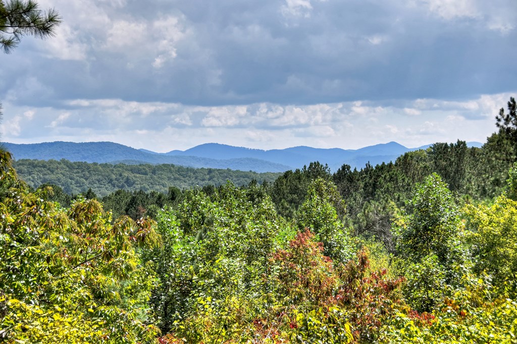 429164 Blue Ridge Residential