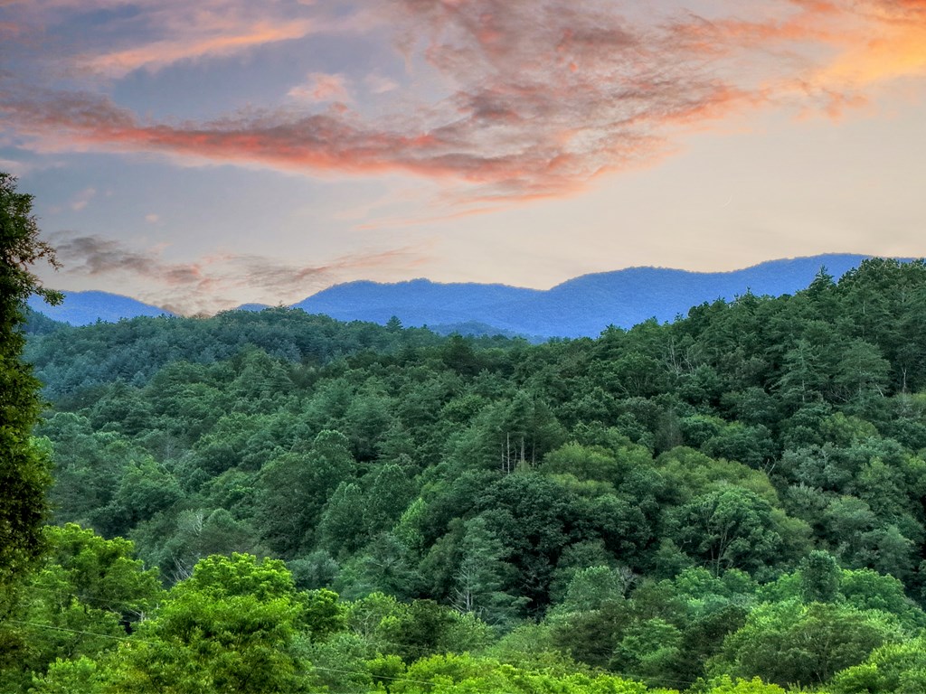 429169 Suches Residential