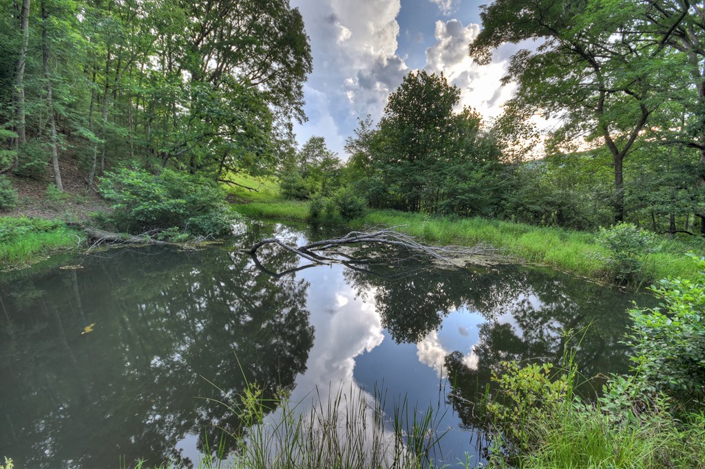 429169 Suches Residential