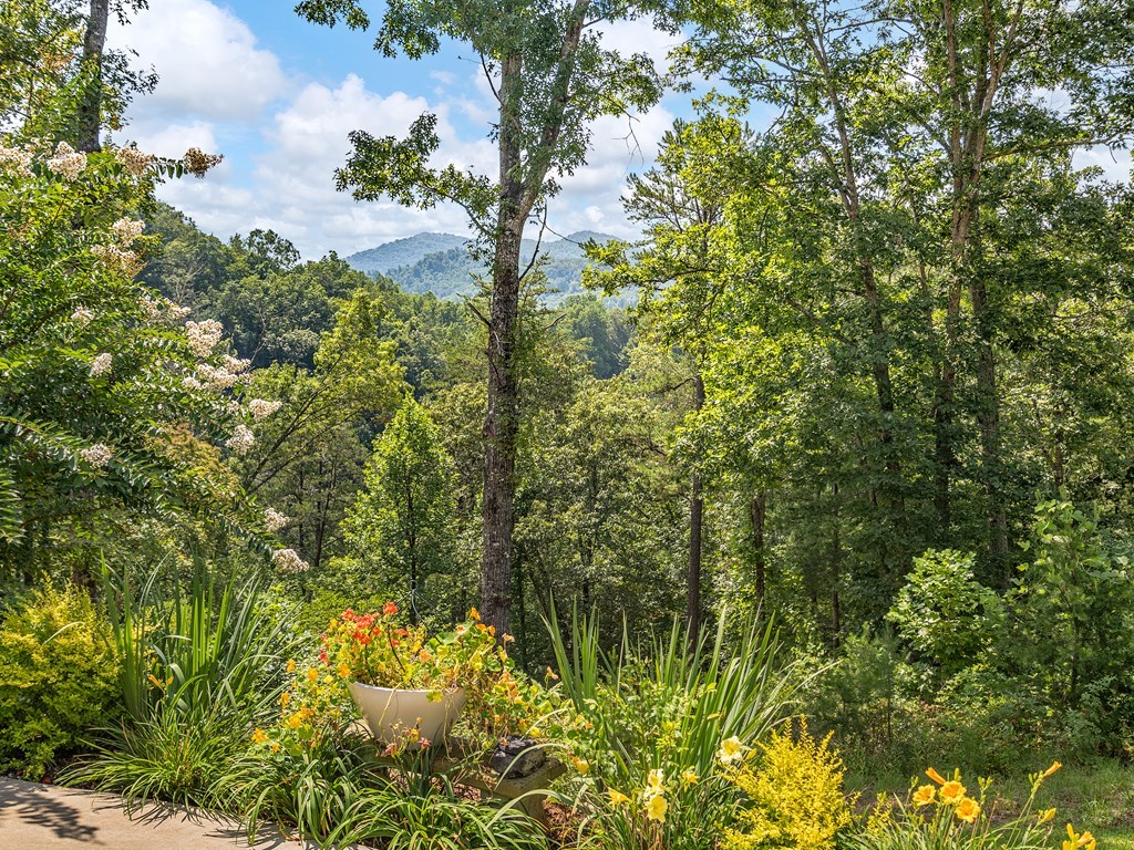 429175 Cullowhee Residential