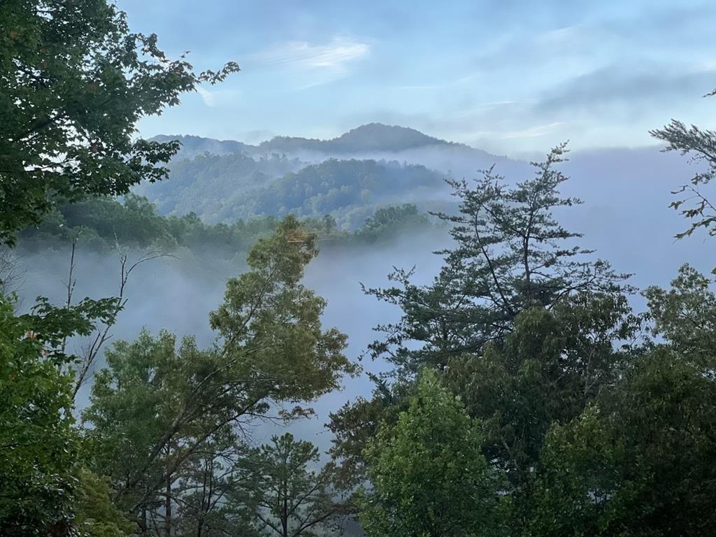 429175 Cullowhee Residential