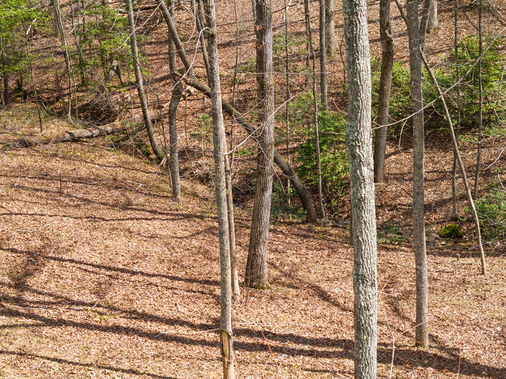 429179 Blue Ridge Residential