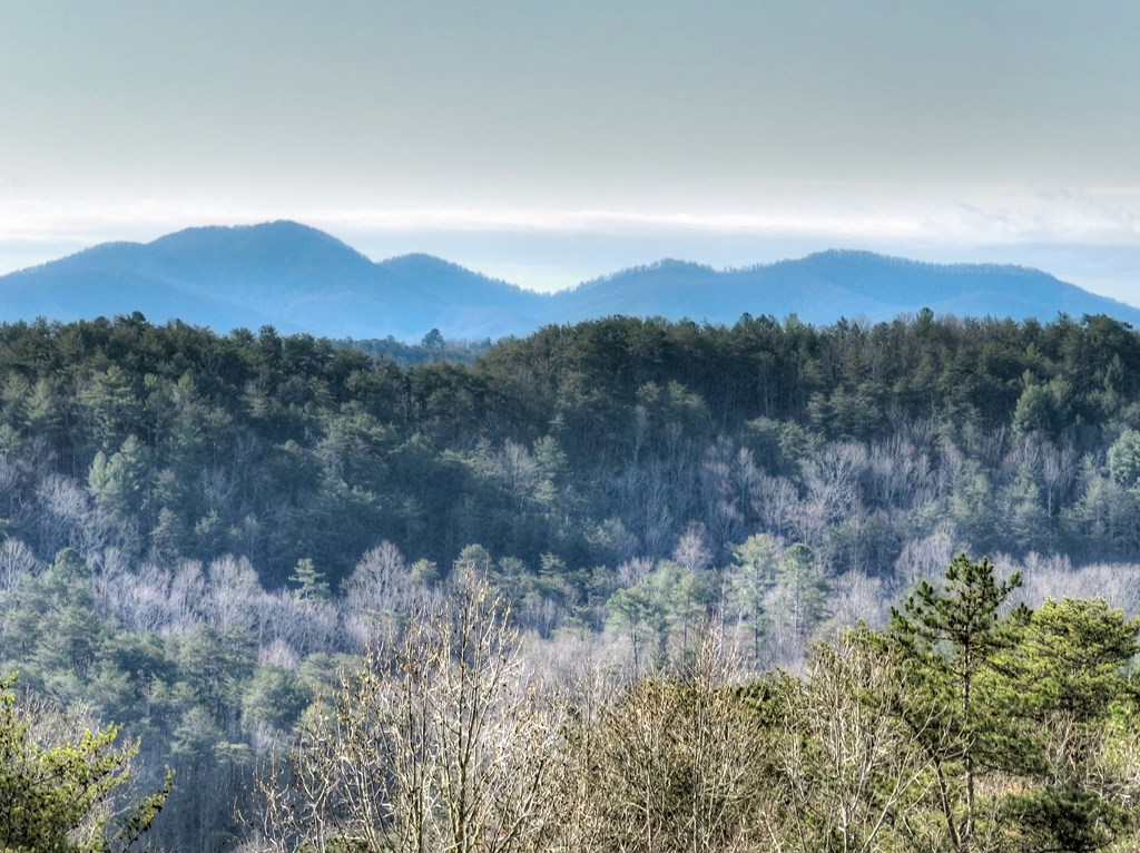 429201 Mineral Bluff Residential