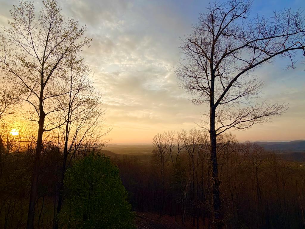 429211 Murphy Residential