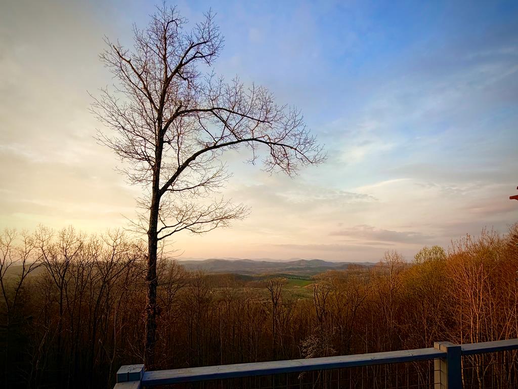 429211 Murphy Residential