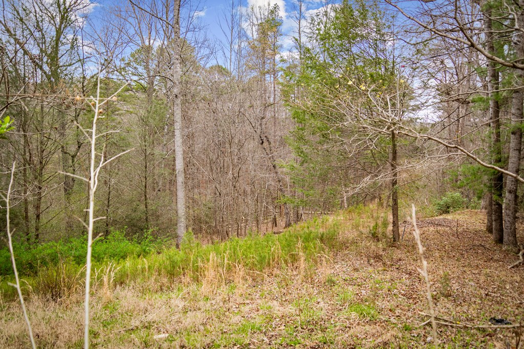 429228 Ellijay Residential