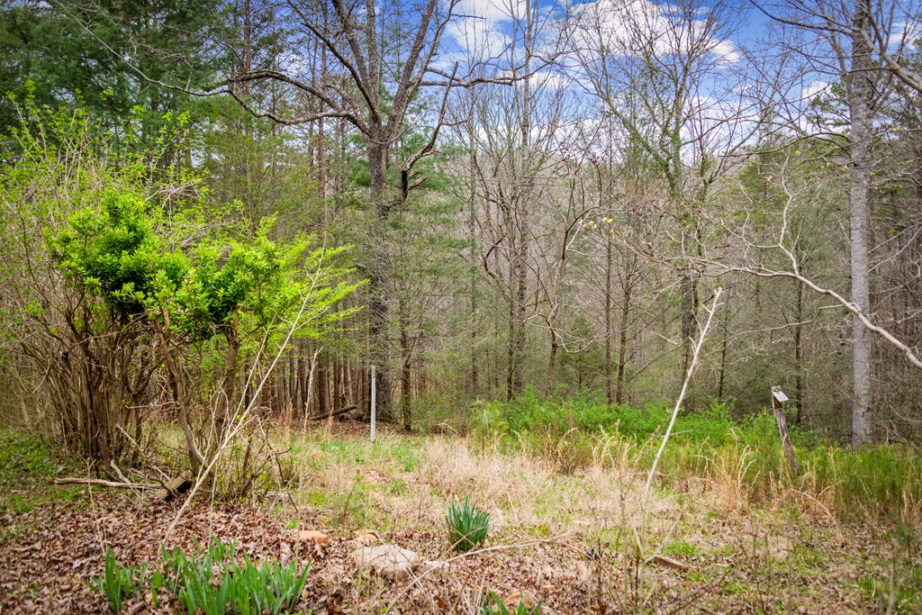 429228 Ellijay Residential