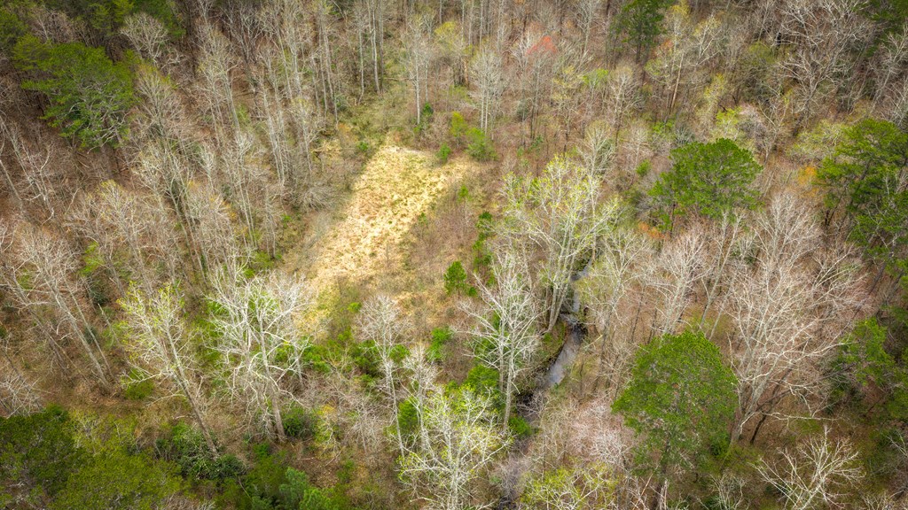 429228 Ellijay Residential