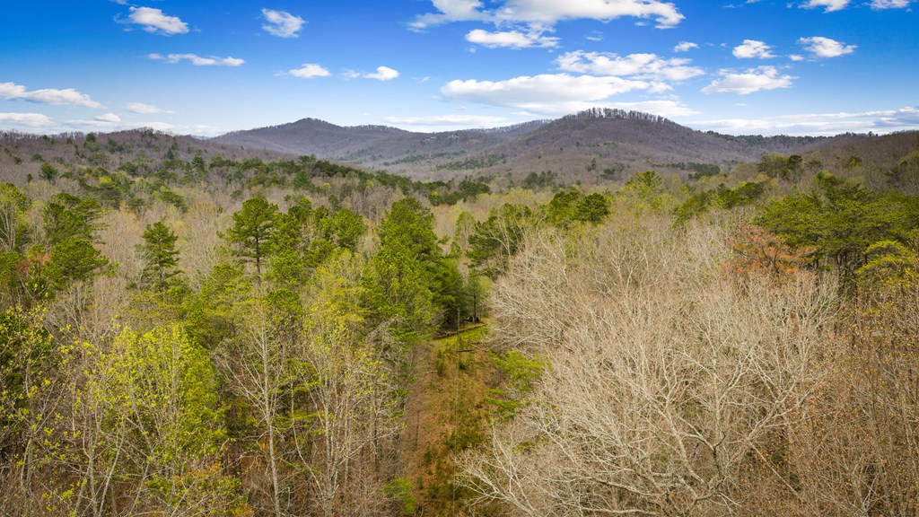 429228 Ellijay Residential