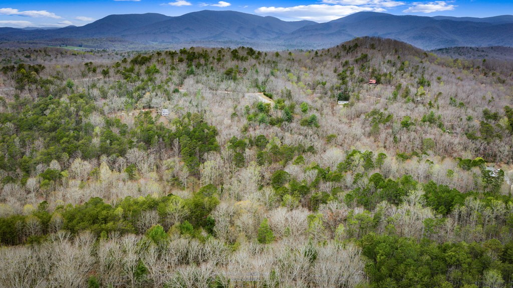 429228 Ellijay Residential