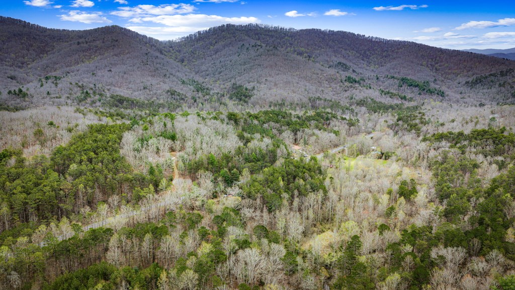 429228 Ellijay Residential