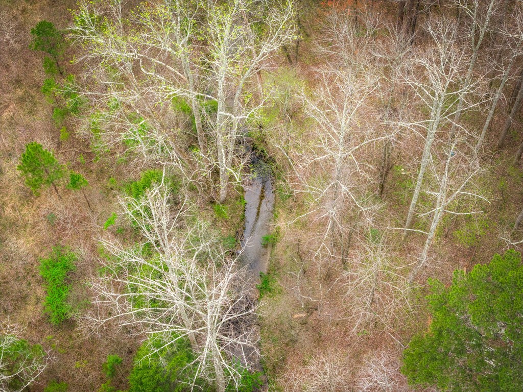 429228 Ellijay Residential