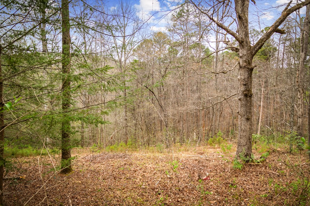 429228 Ellijay Residential