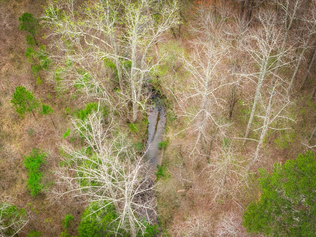 429228 Ellijay Residential