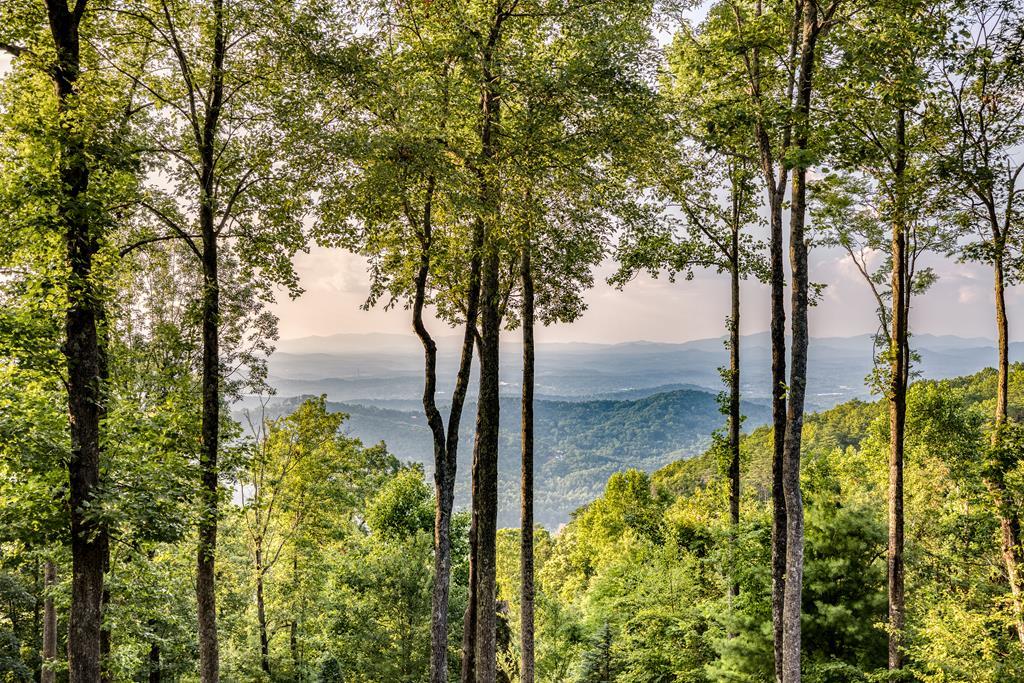 429229 Blue Ridge Residential