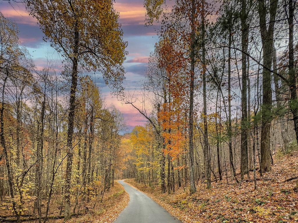 429229 Blue Ridge Residential