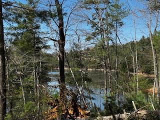 429234 Morganton Residential