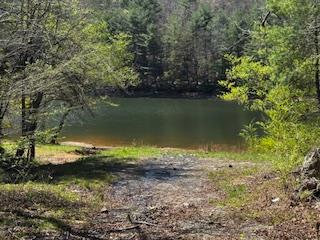 429234 Morganton Residential