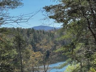 429234 Morganton Residential