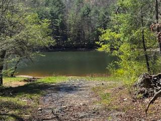 429234 Morganton Residential