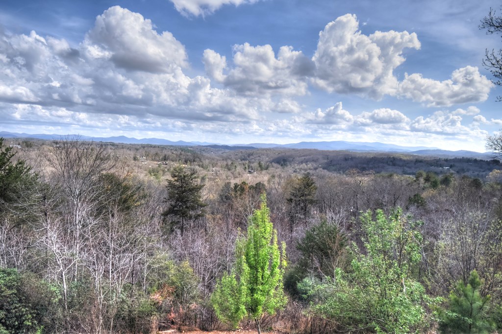 429240 Mineral Bluff Residential