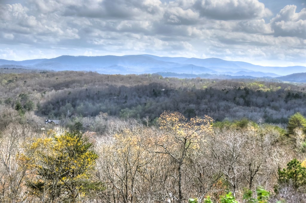 429240 Mineral Bluff Residential