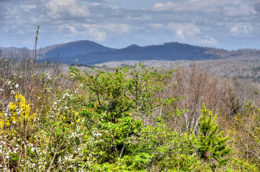 429240 Mineral Bluff Residential