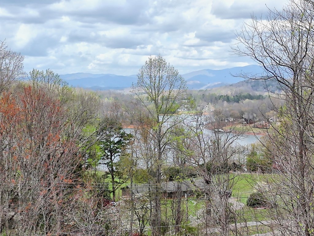 429246 Hiawassee Residential