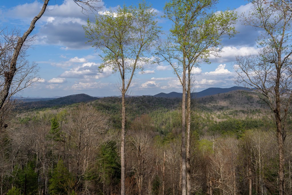 429253 Blue Ridge Residential