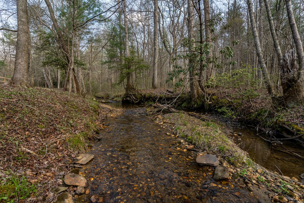 429269 Blue Ridge Residential