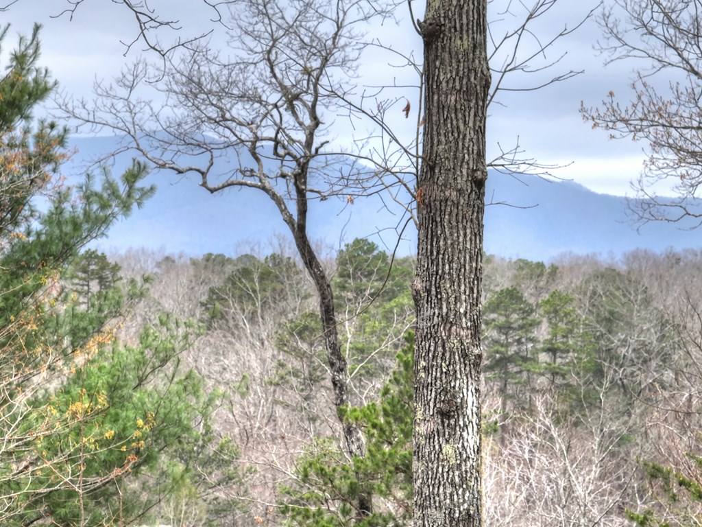 429275 Epworth Residential