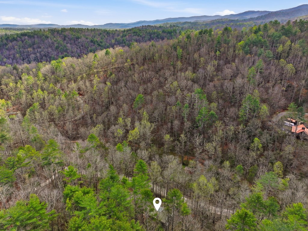 429278 Ellijay Residential