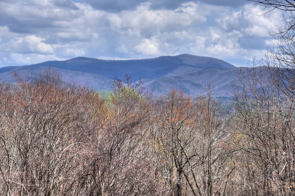 429283 Cherry Log Residential