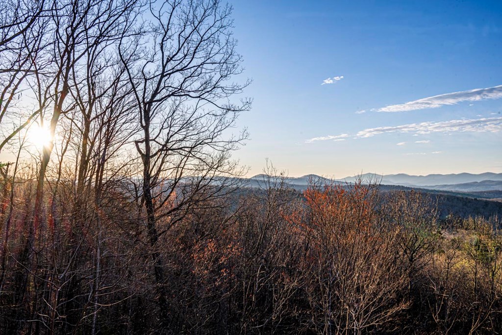 429296 Morganton Residential