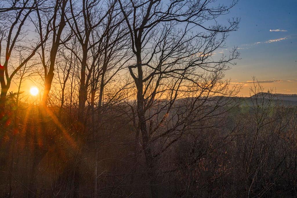 429296 Morganton Residential