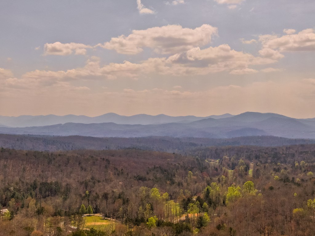 429296 Morganton Residential