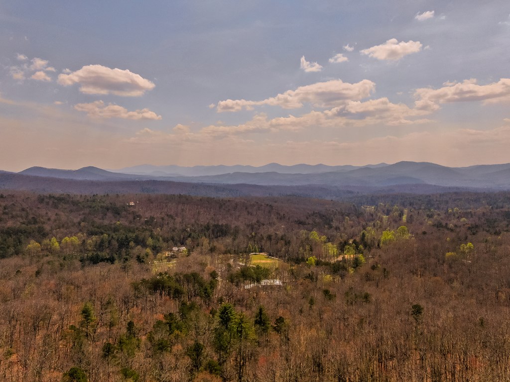 429296 Morganton Residential