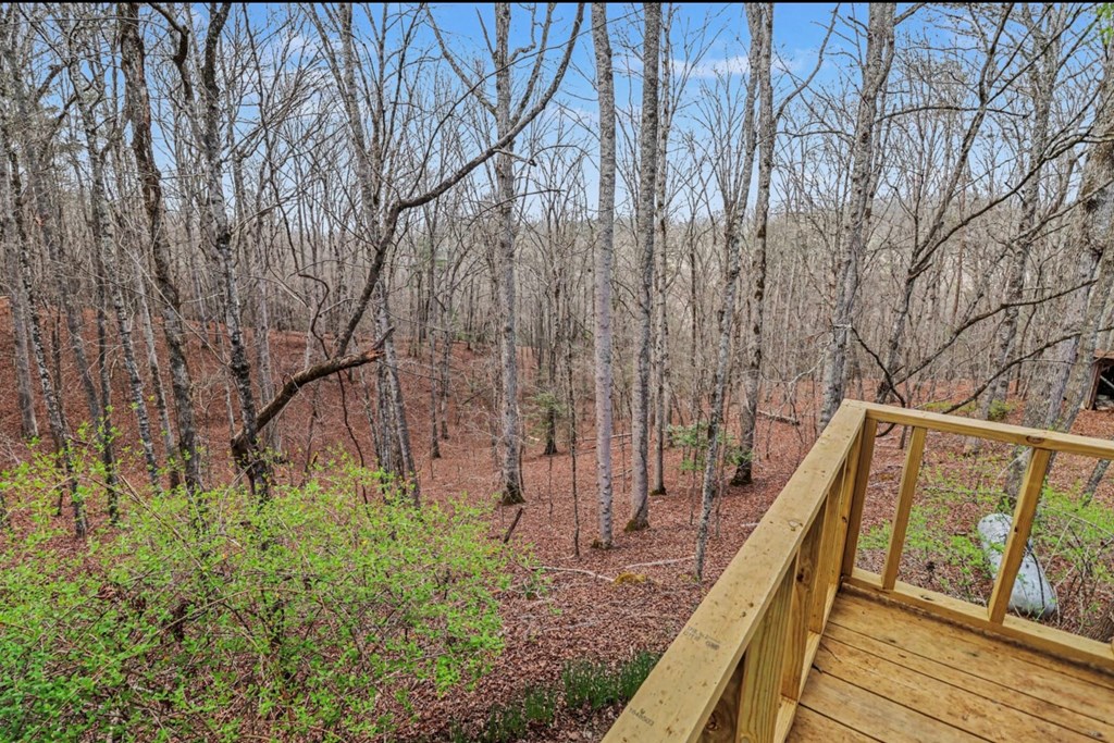 429326 Blue Ridge Residential