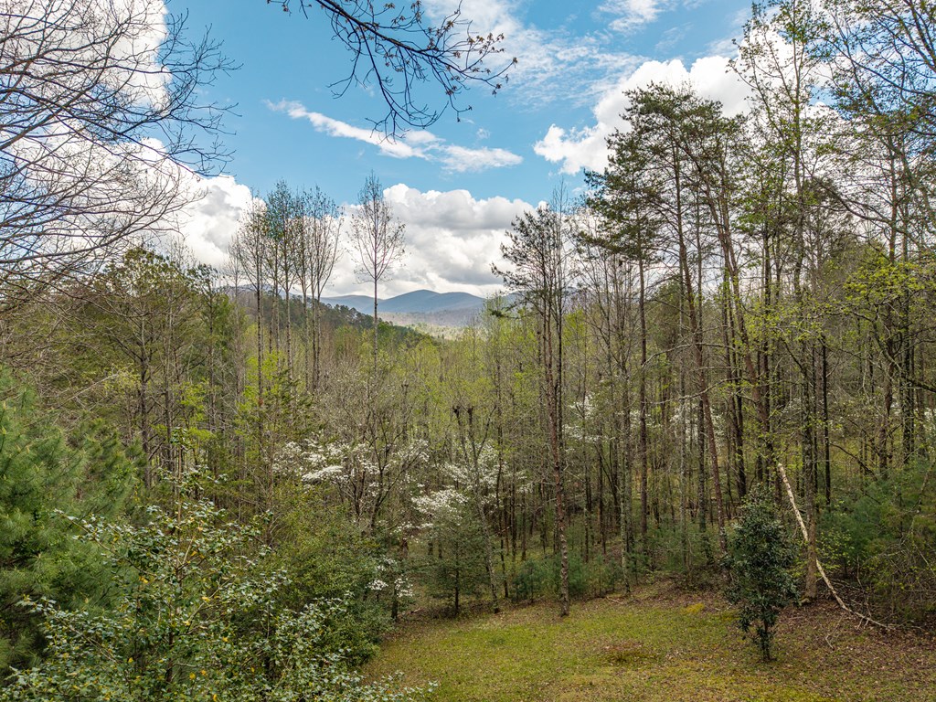 429333 Cherry Log Residential