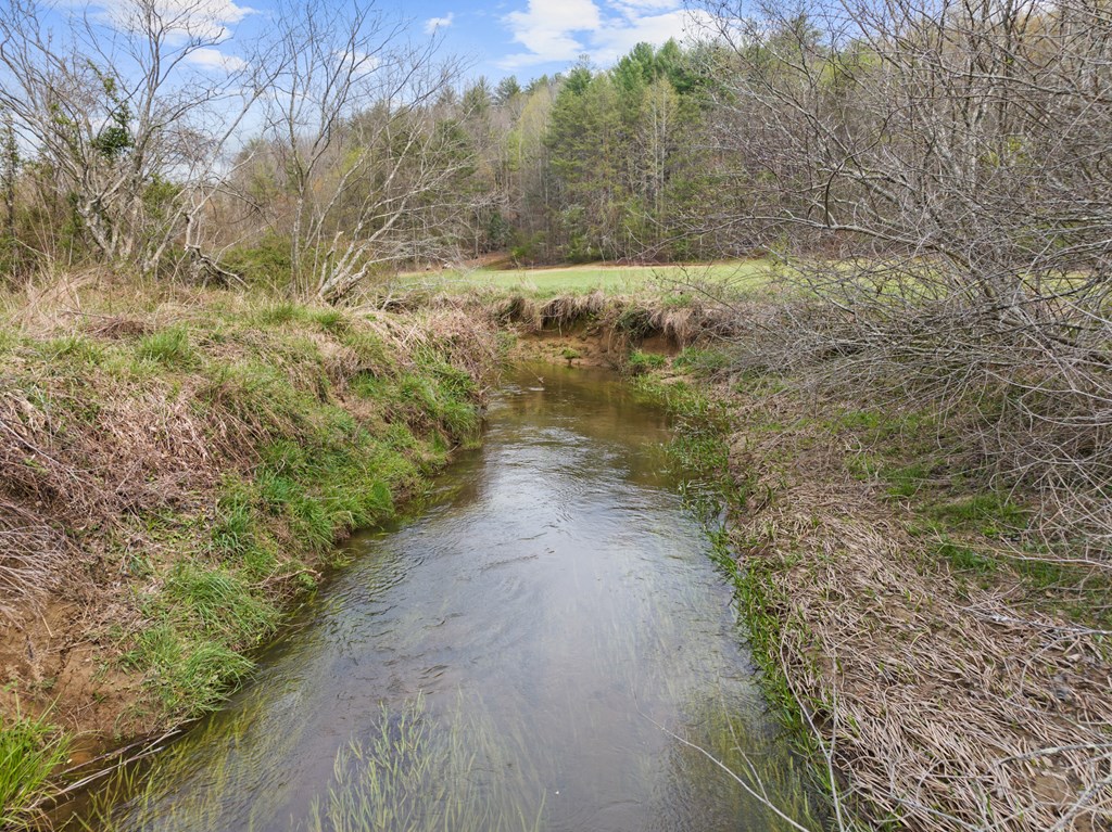 429336 Blue Ridge Residential