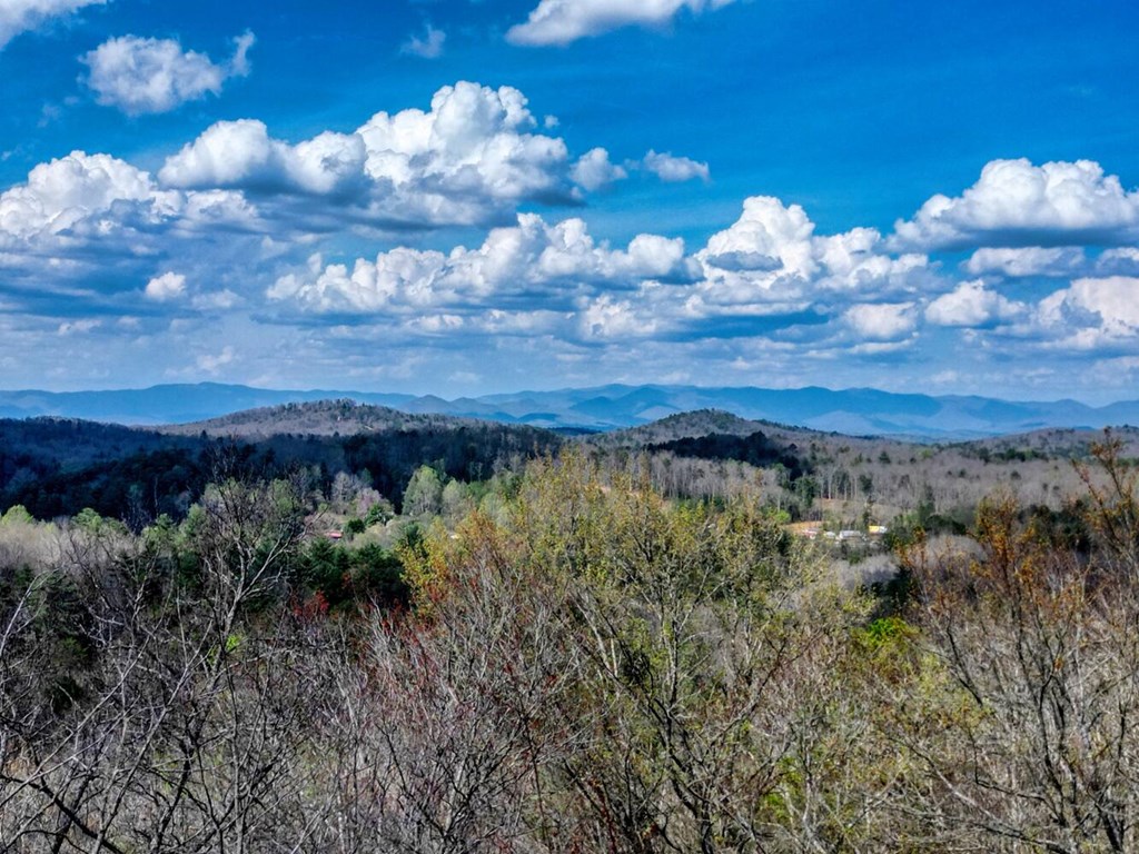 429338 Murphy Residential