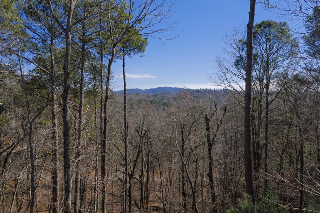 429346 Ellijay Residential