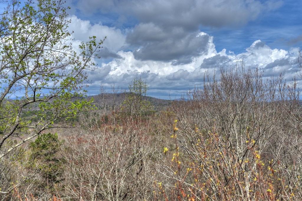 429366 Morganton Residential